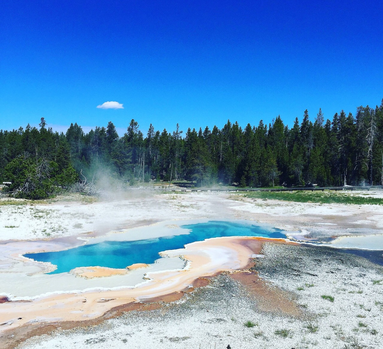 {壹葡}(黄石公园旅游费用)