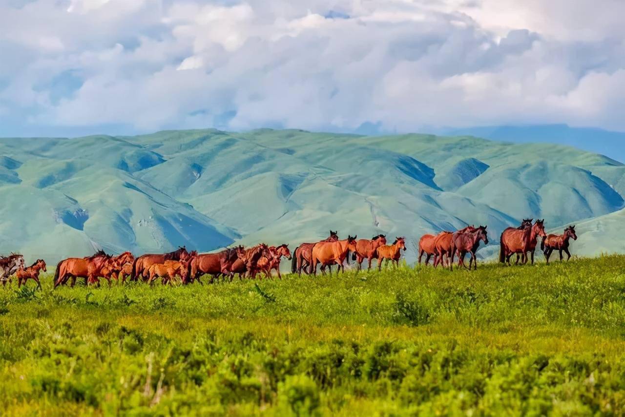 {ONEBETS}(那拉提草原门票优惠政策)