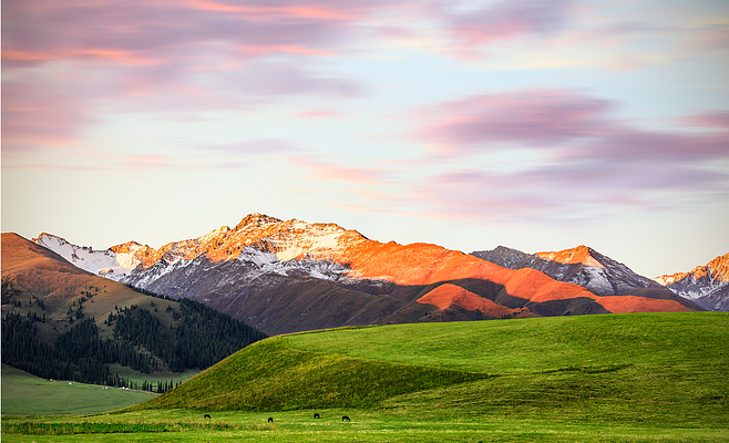{ONEBETS}(那拉提草原门票优惠政策)